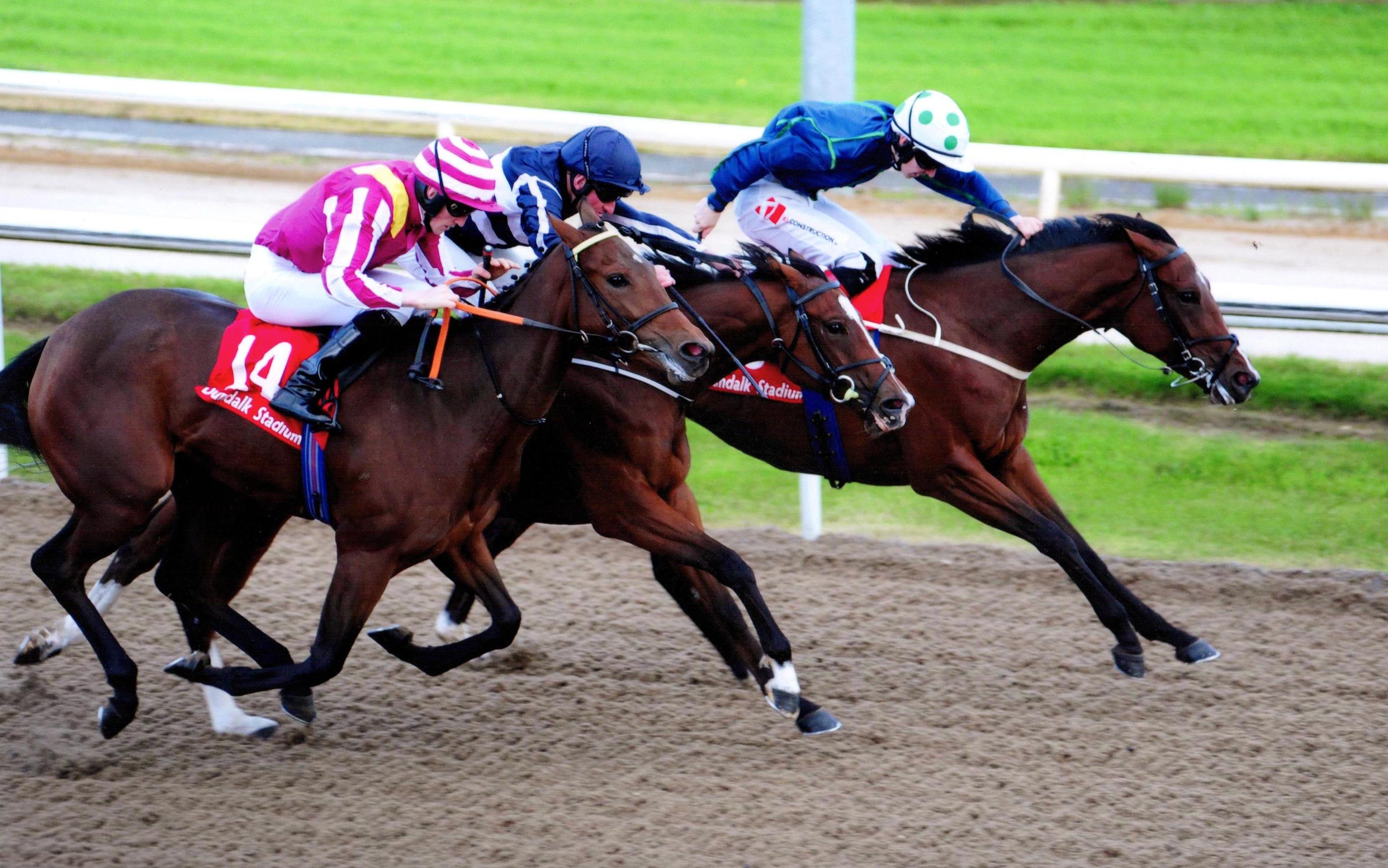 MY MYSTIQUE gets the job done at Dundalk under Colin Keane 29th September 2017